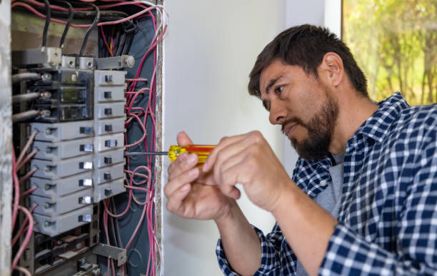 Best Electrical Upgrades for Homes  in Longmont, CO